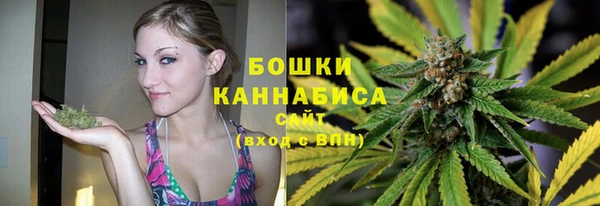прущие грибы Верхний Тагил